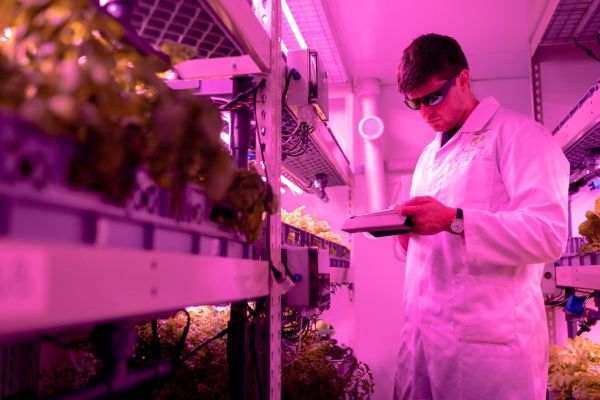 Agroalimentaire : pourquoi les entreprises misent sur un ERP métier pour gagner en compétitivité