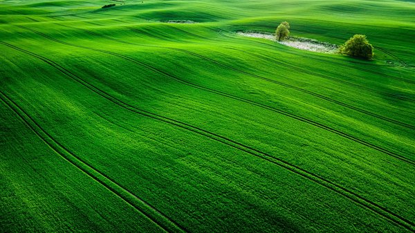 Quelles pratiques de green IT pour réduire l'empreinte carbone de votre entreprise ?